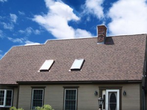 brown-roof 